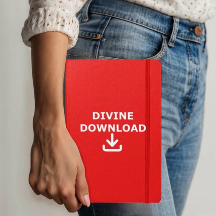 Divine Download Ambassador Bound Journal | Silver | Christian Notebook