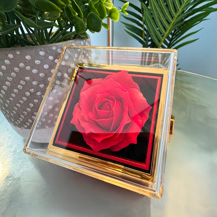 RoseFORKIDS-012